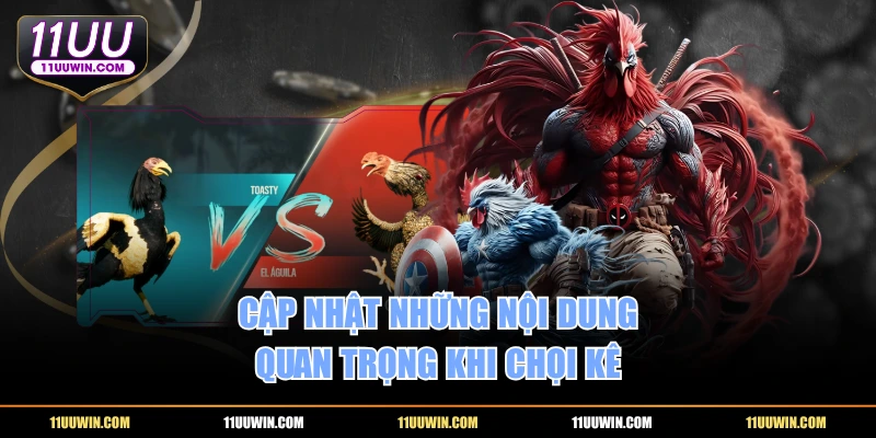 Cập nhật những nội dung quan trọng khi chọi kê